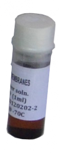 SDx-S1 リン脂質昆合液
